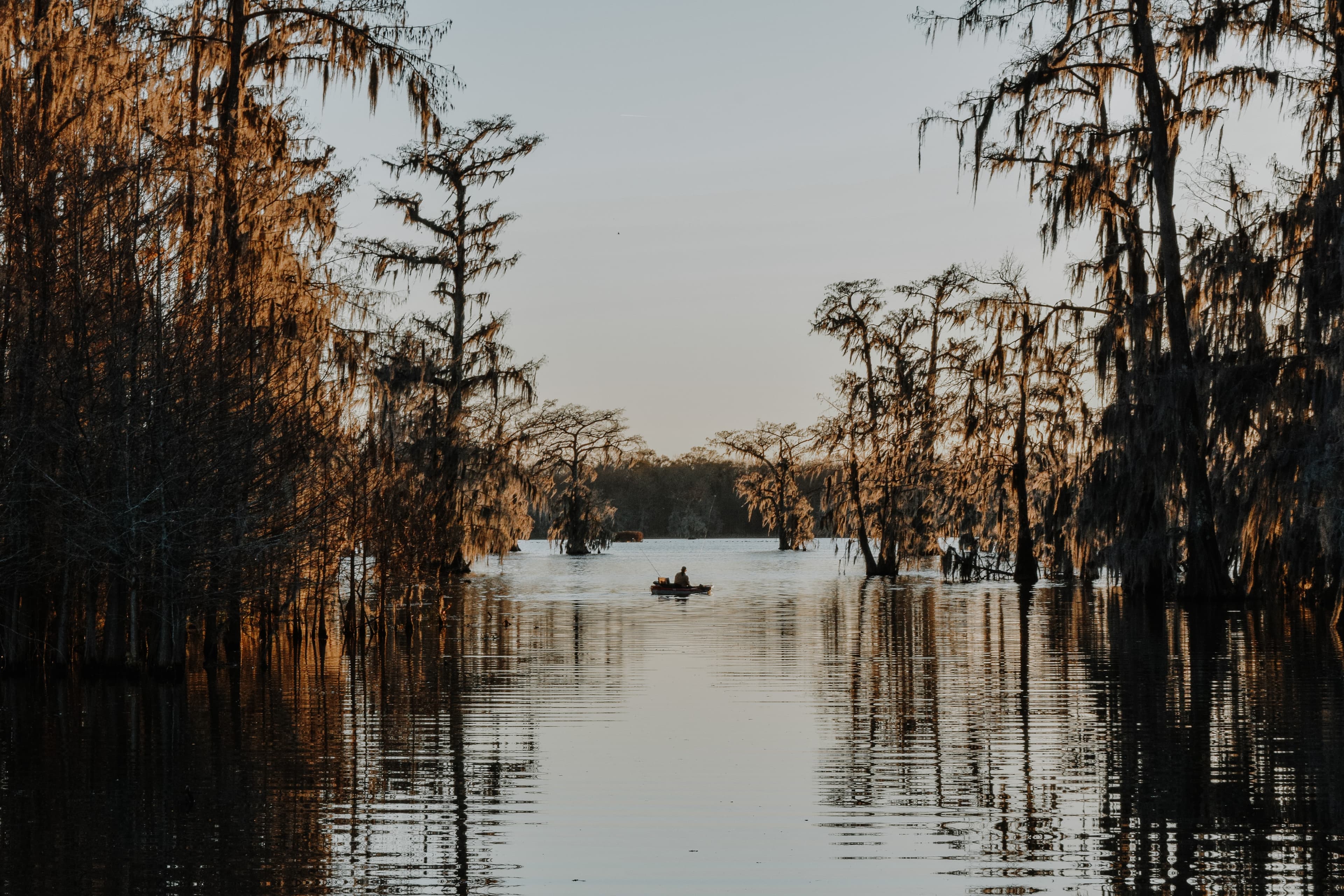 Picture from a ciy in Louisiana U.S.