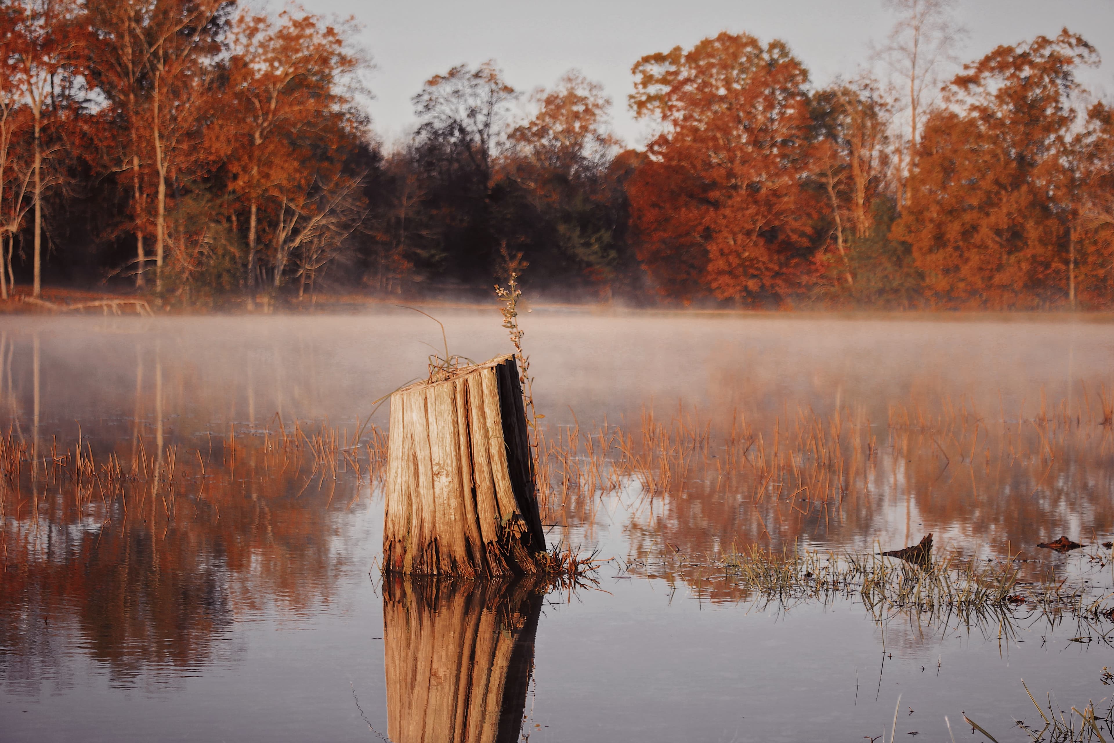 Picture from a ciy in New Jersey U.S.