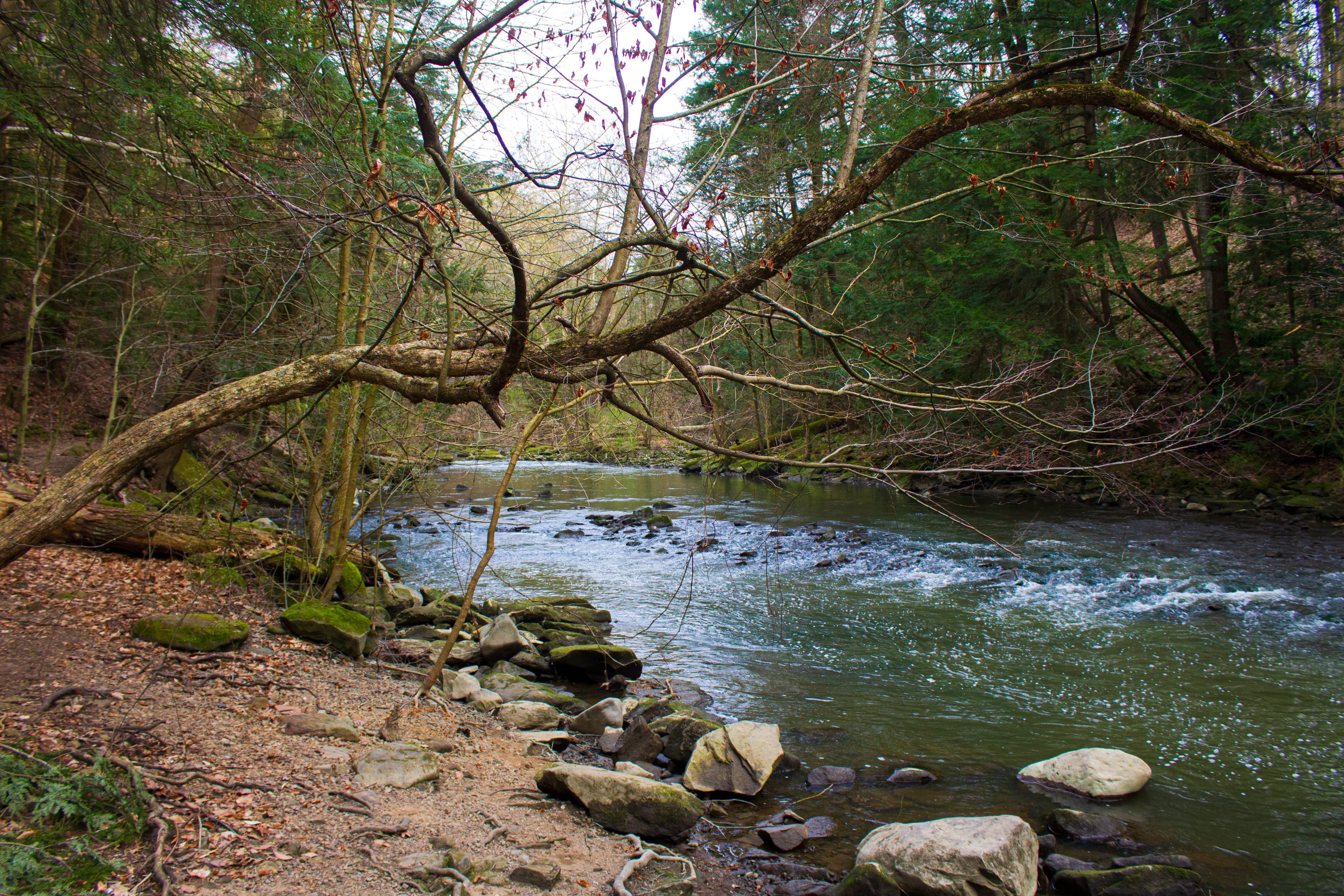 Picture from a ciy in Ohio U.S.