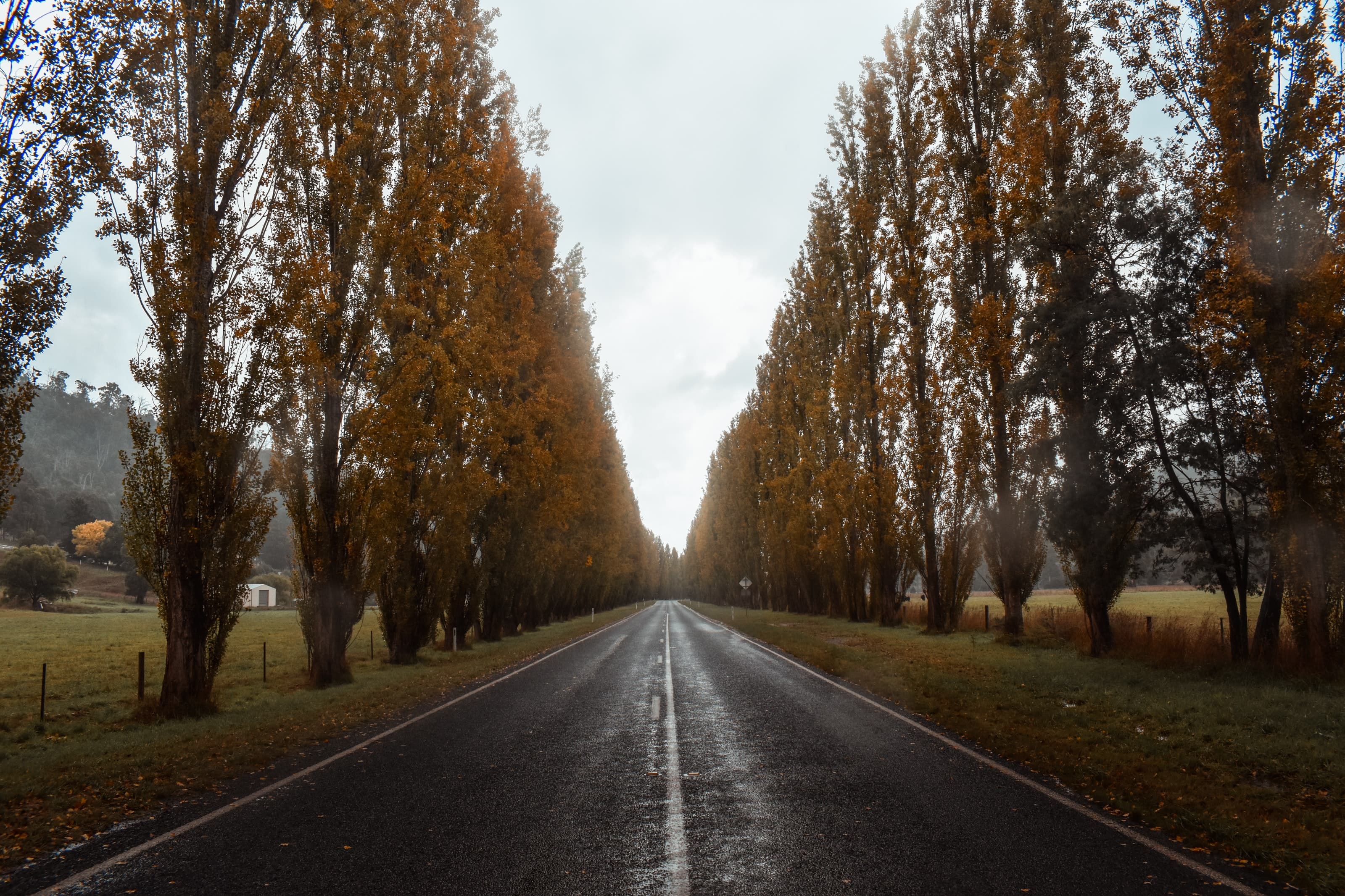 Picture from a ciy in Washington U.S.
